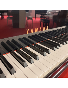 yamaha G1 Genio 