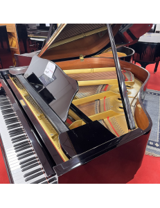 yamaha G1 Genio 