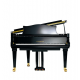 C. Bechstein  B212