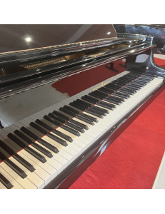 Schimmel queue 206