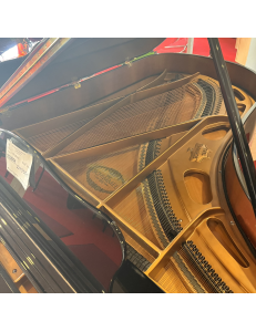 Schimmel queue 206