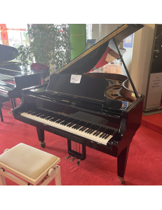 Schimmel queue 206