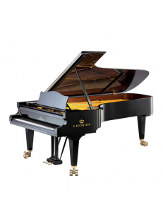 C. Bechstein  D282