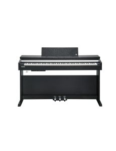 Kurzweil CUP-M1