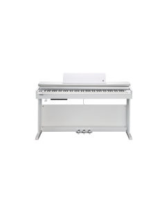 Kurzweil CUP-M1