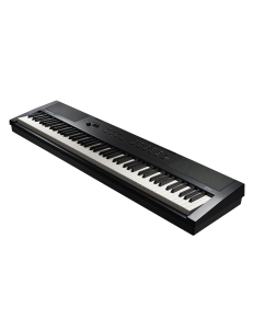 Kurzweil KA E1