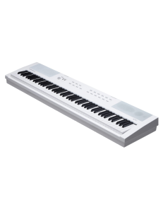 Kurzweil KA E1