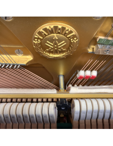 Yamaha U3