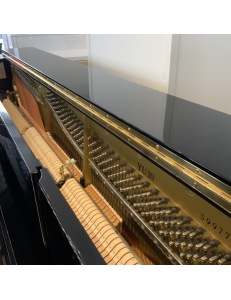 Yamaha YU10