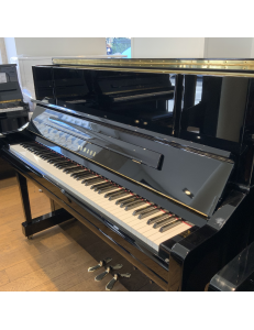 Yamaha YU10