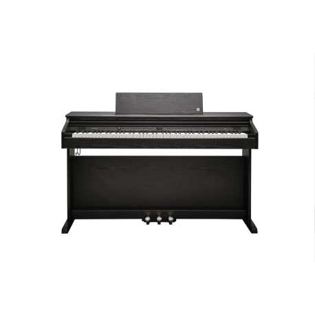 Kurzweil CUP-E1