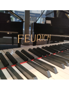 FEURICH 162