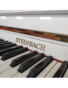 steinbach
