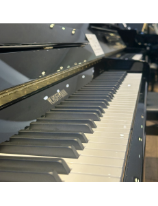Hoffmann Vision 120 laqué noir