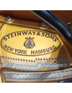 Steinway&Sons M