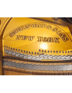 Steinway&Sons M