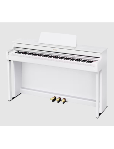 CASIO AP-300