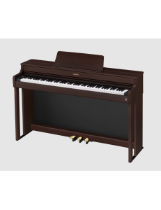 CASIO AP-300
