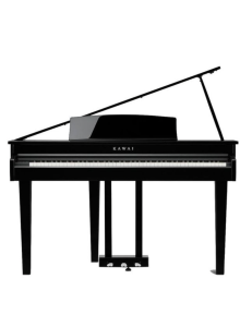 Kawai DG30