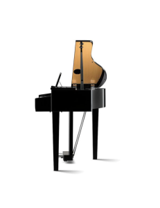 Kawai DG30