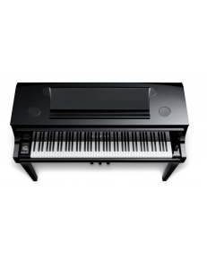 KAWAI NV-10S