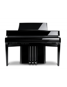 KAWAI NV-10S
