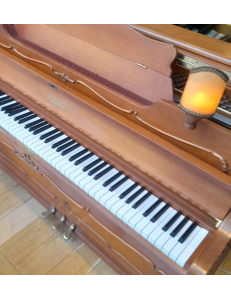 Schimmel Chippendale