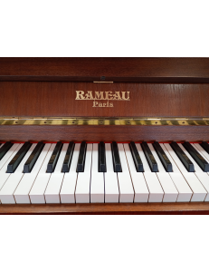 Rameau 114 Chenonceau