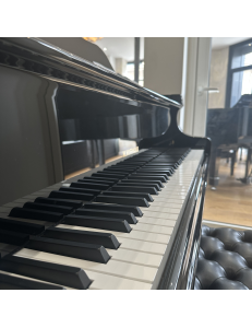 Hoffmann HW-V158 noir laqué