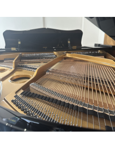 Hoffmann HW-V158 noir laqué