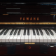 Yamaha U1A