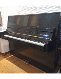 Bösendorfer 120