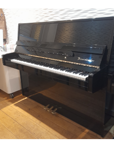 Bösendorfer 120