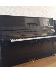 Bösendorfer 120