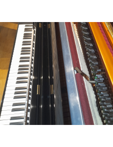 Bösendorfer 120