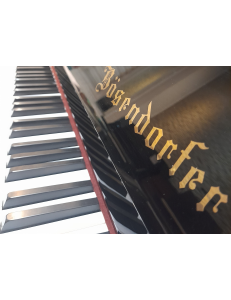 Bösendorfer 120