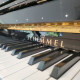 Schimmel 114
