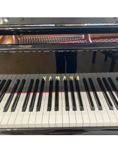 Yamaha CG1