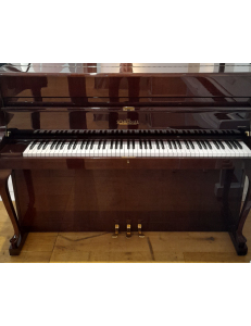Schimmel 112