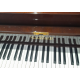 Schimmel 112