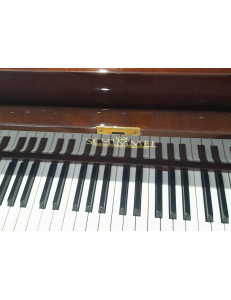 Schimmel 112