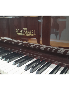 Schimmel 112