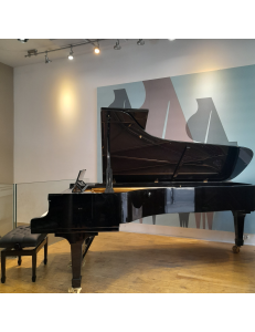 Steinway&Sons D 274