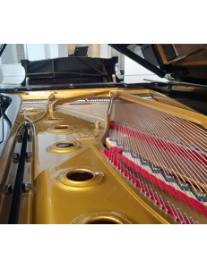 Steinway&Sons D 274