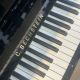 C. Bechstein 116 Millenium