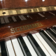 Schimmel 102