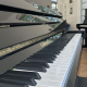 C. Bechstein 124
