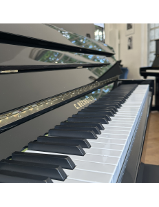 C. Bechstein 124