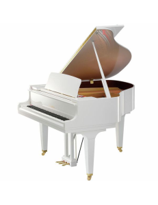 KAWAI GL-10