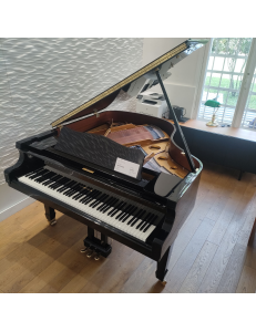 Hoffmann HW-V158 noir laqué